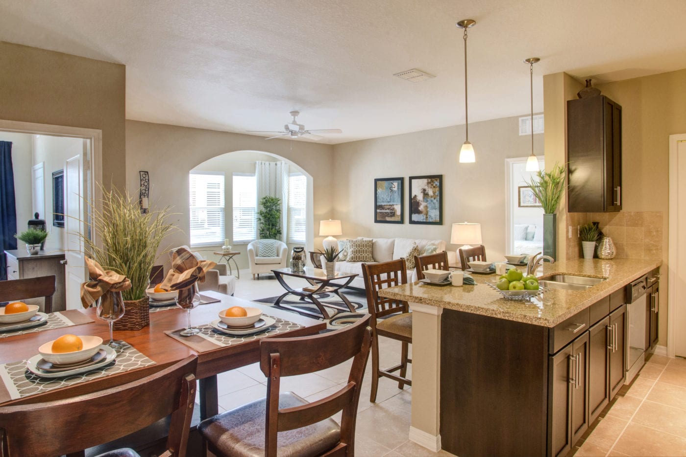 Luxury Pet Friendly Apartments Complexes in Tampa