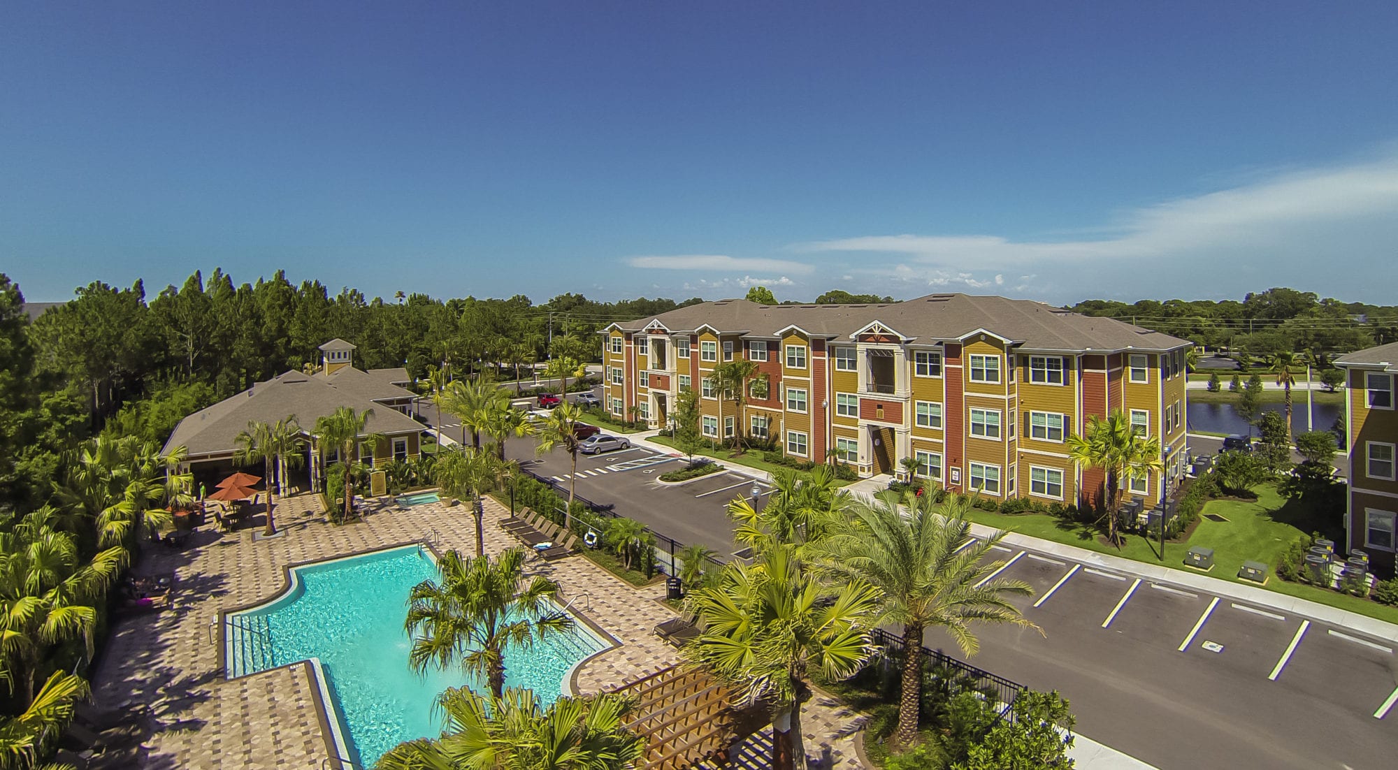 Luxury Pet Friendly Apartments Complexes in Tampa