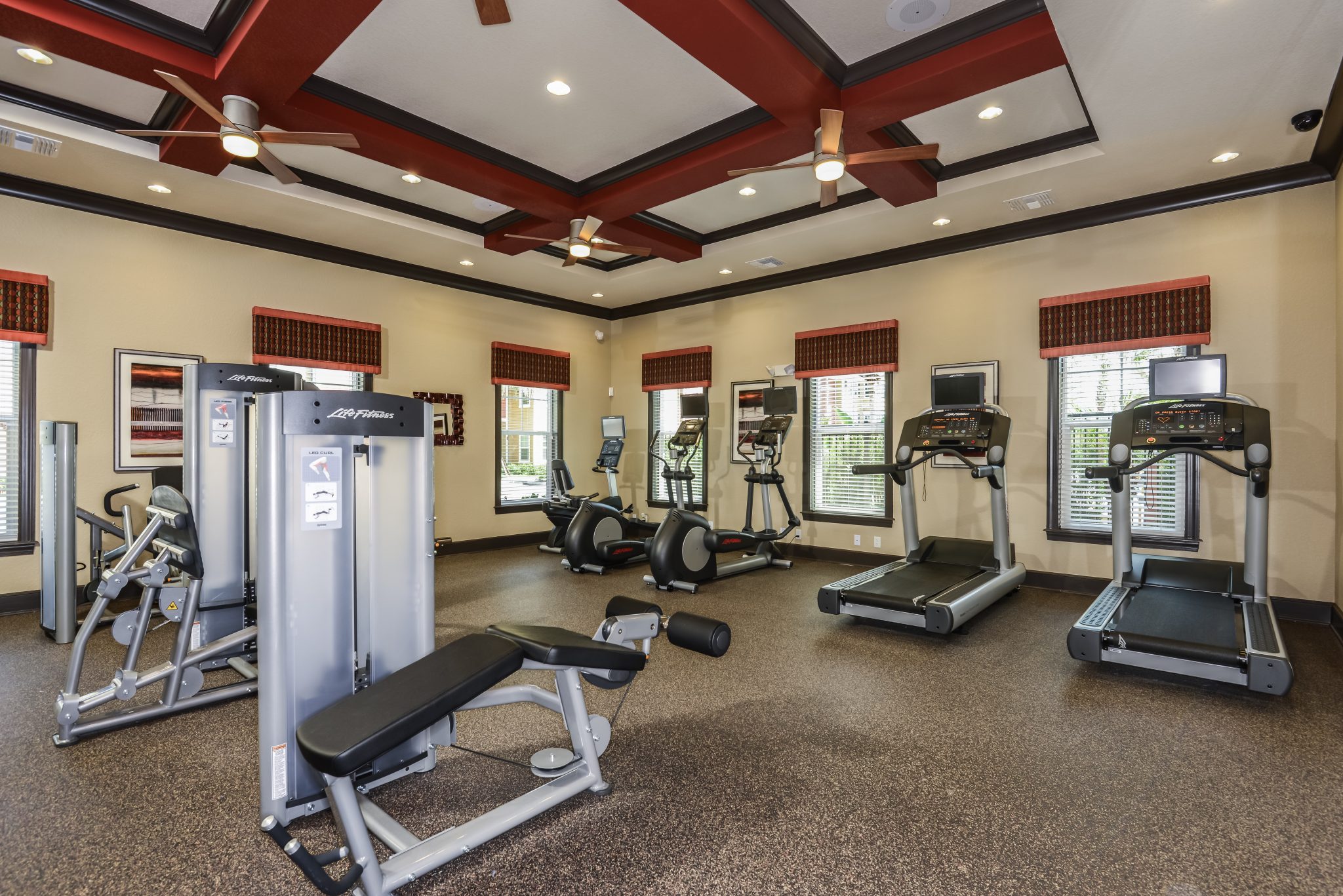 Luxury Pet Friendly Apartments Complexes in Tampa