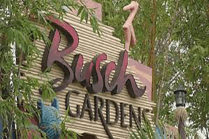 Apartments near Busch Gardens