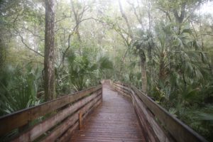 Trails and parks located near Watercolor at Trinity